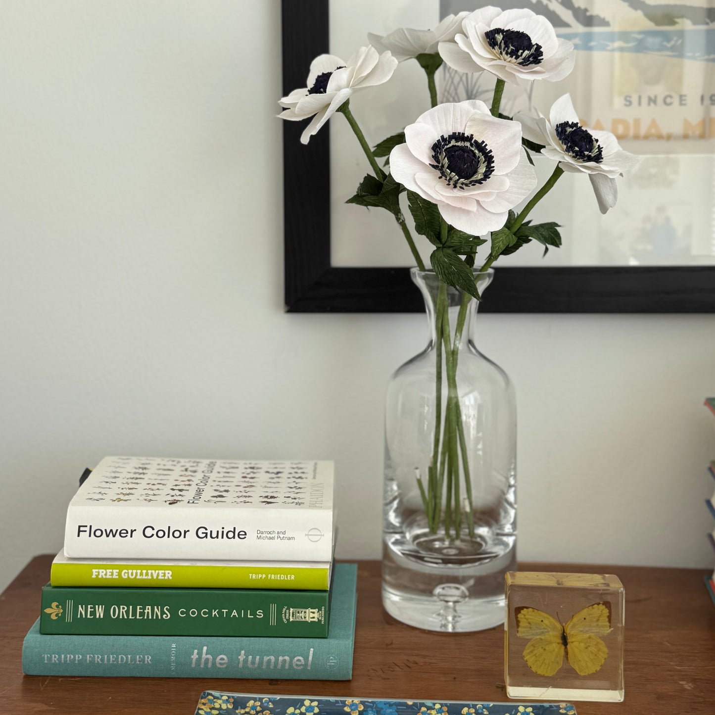 Anemones - Bunch of 5