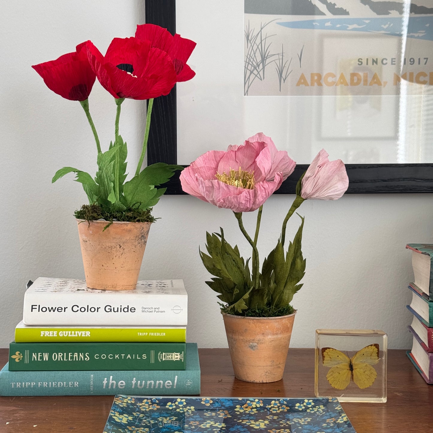 Potted Poppies - Red