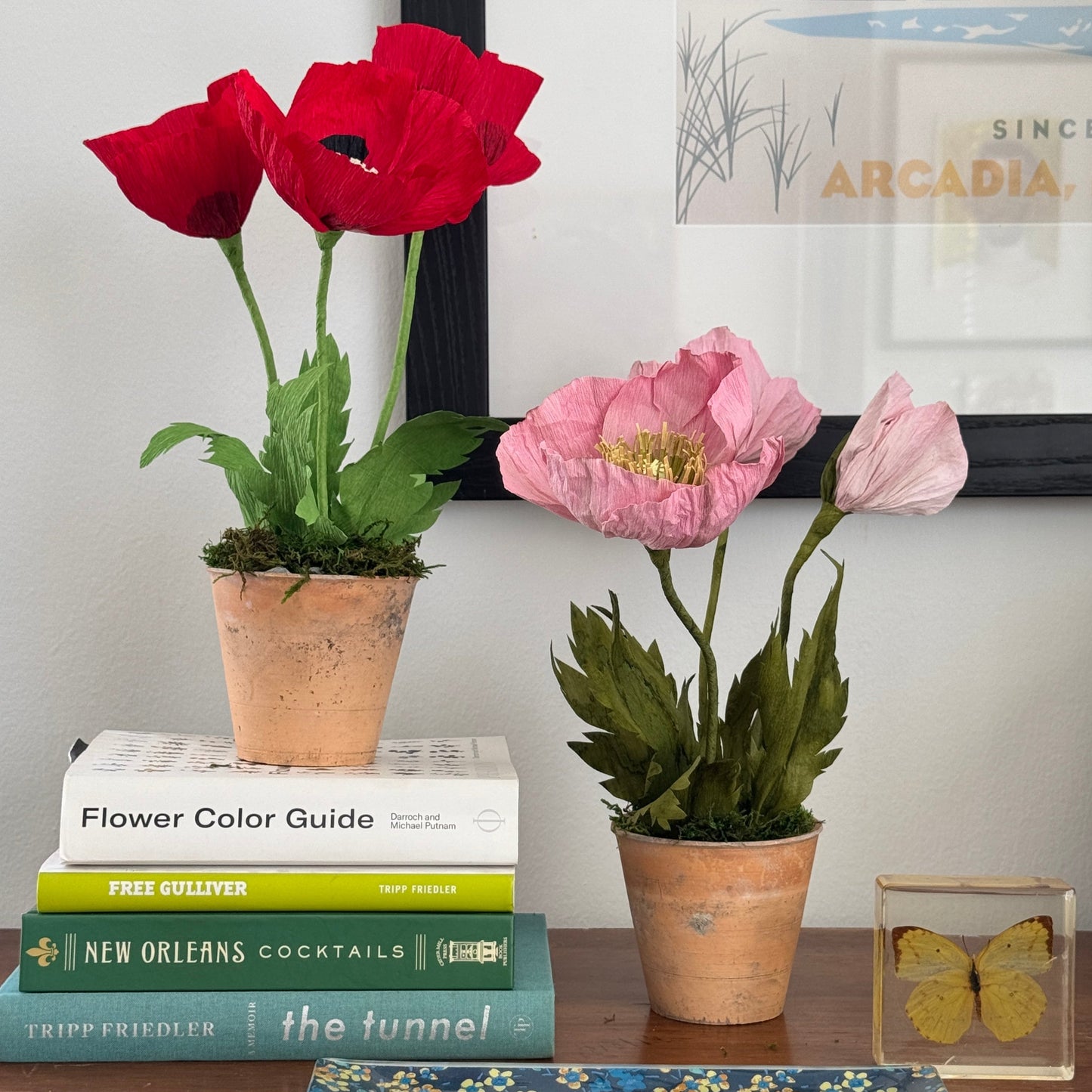 Potted Poppies - Pink
