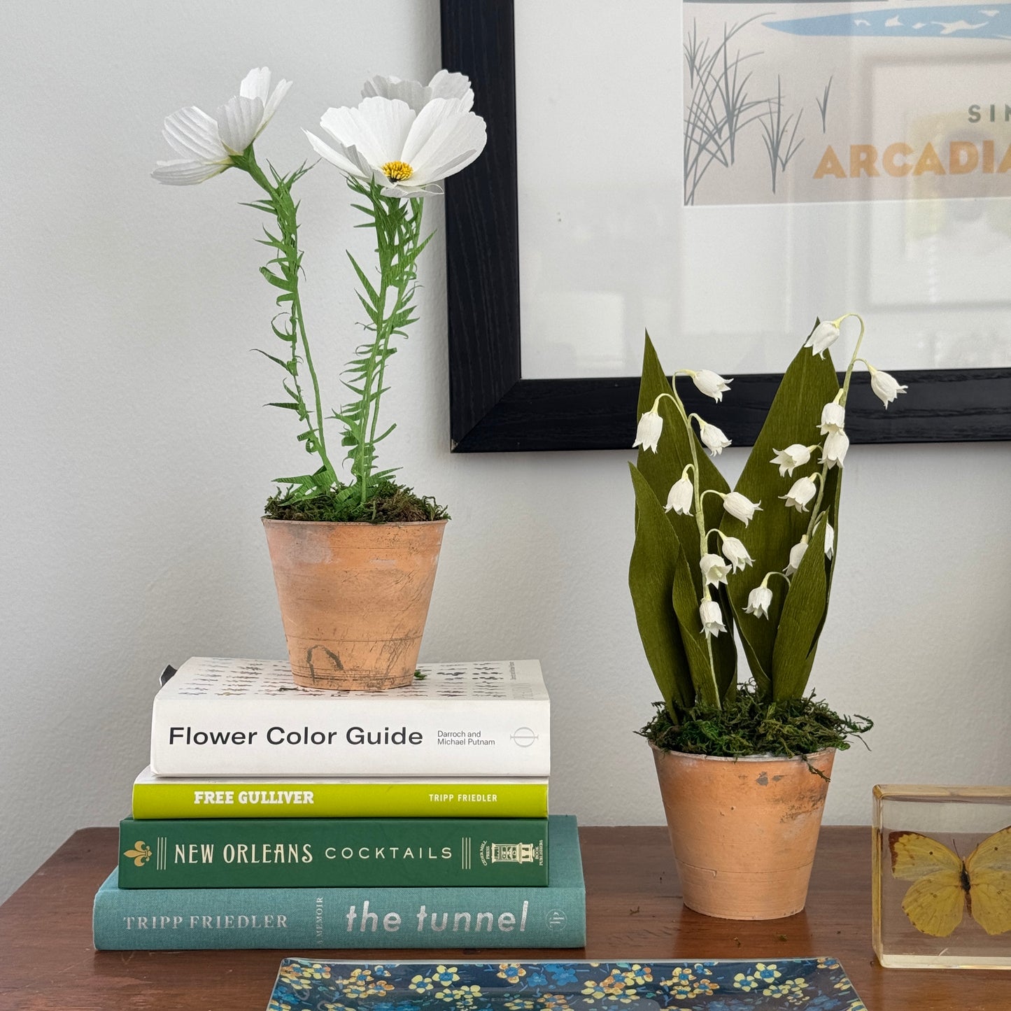 Potted Lily of the Valley