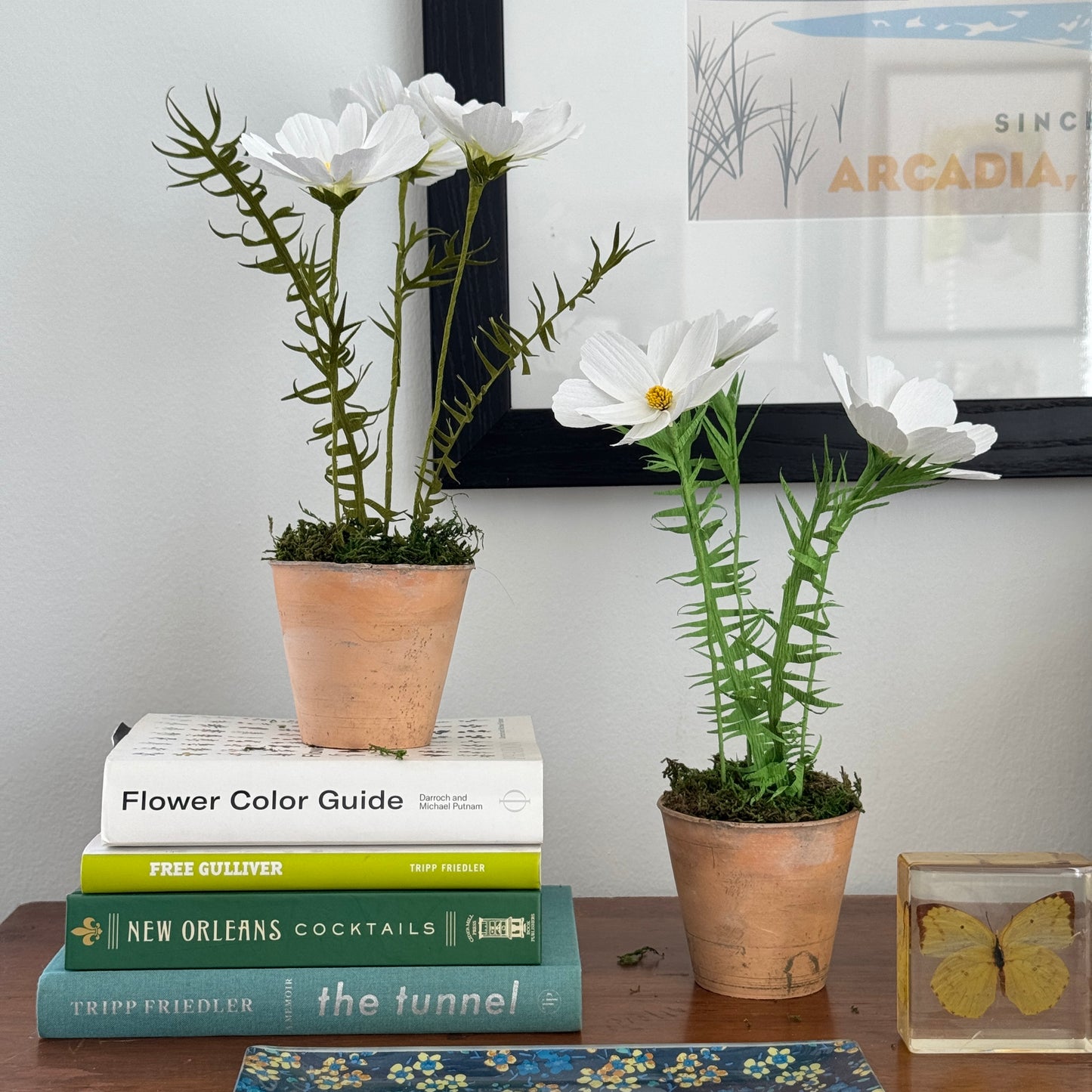 Potted Cosmos - Forest Green