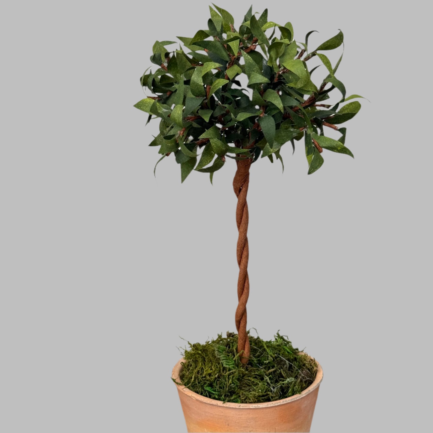 Potted Topiary