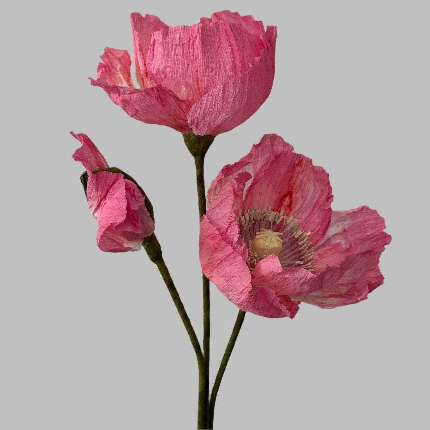 2 Poppies + 1 Bud - Pink w/ Purple Center