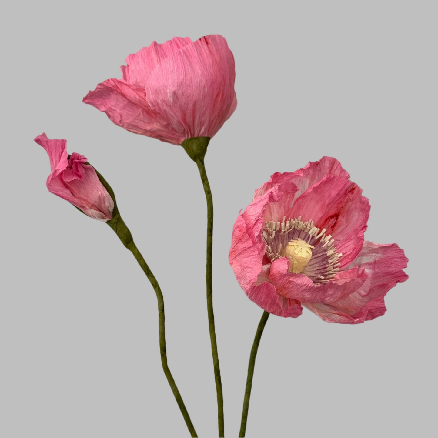 2 Poppies + 1 Bud - Pink w/ Purple Center