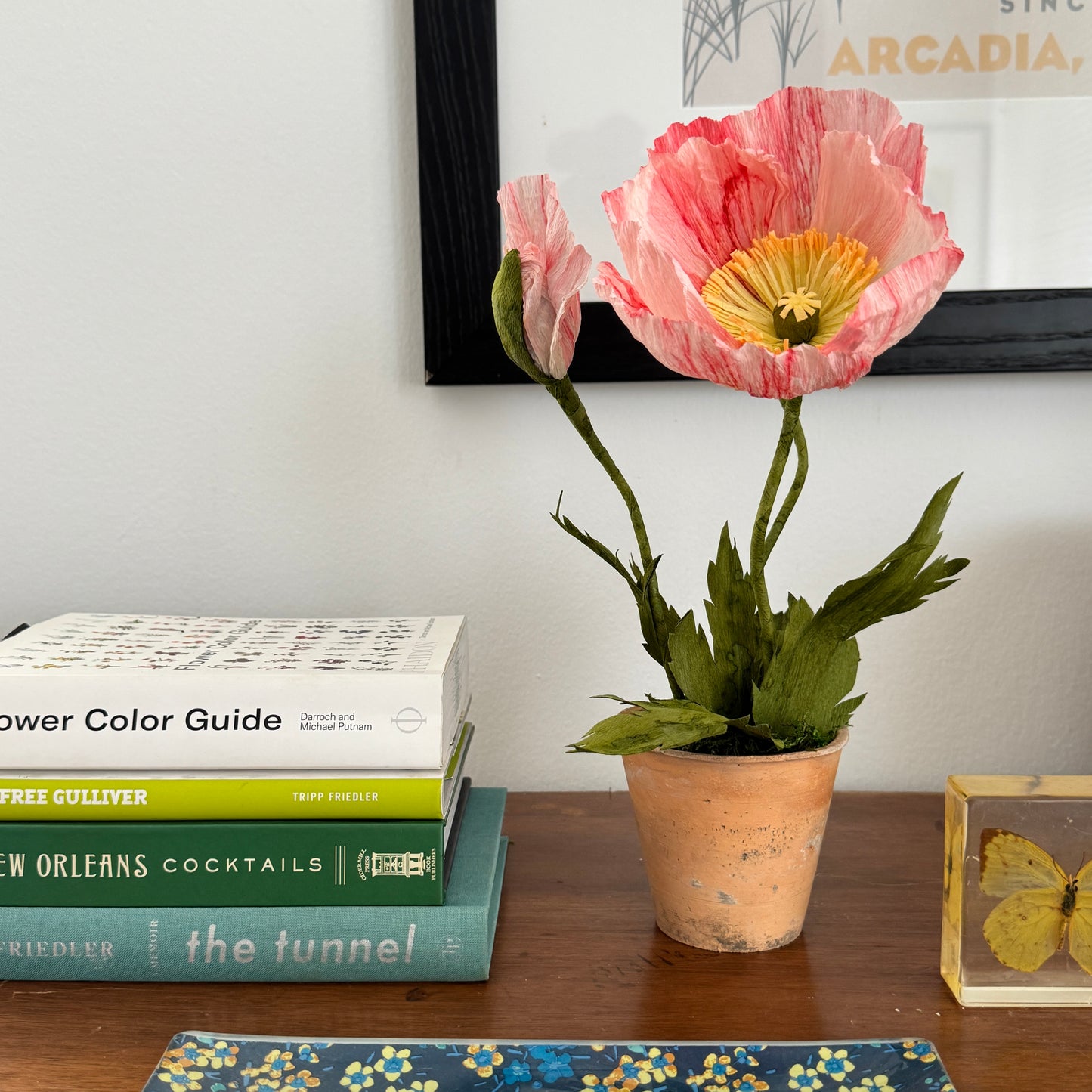 Potted Poppies - Peachy Pink