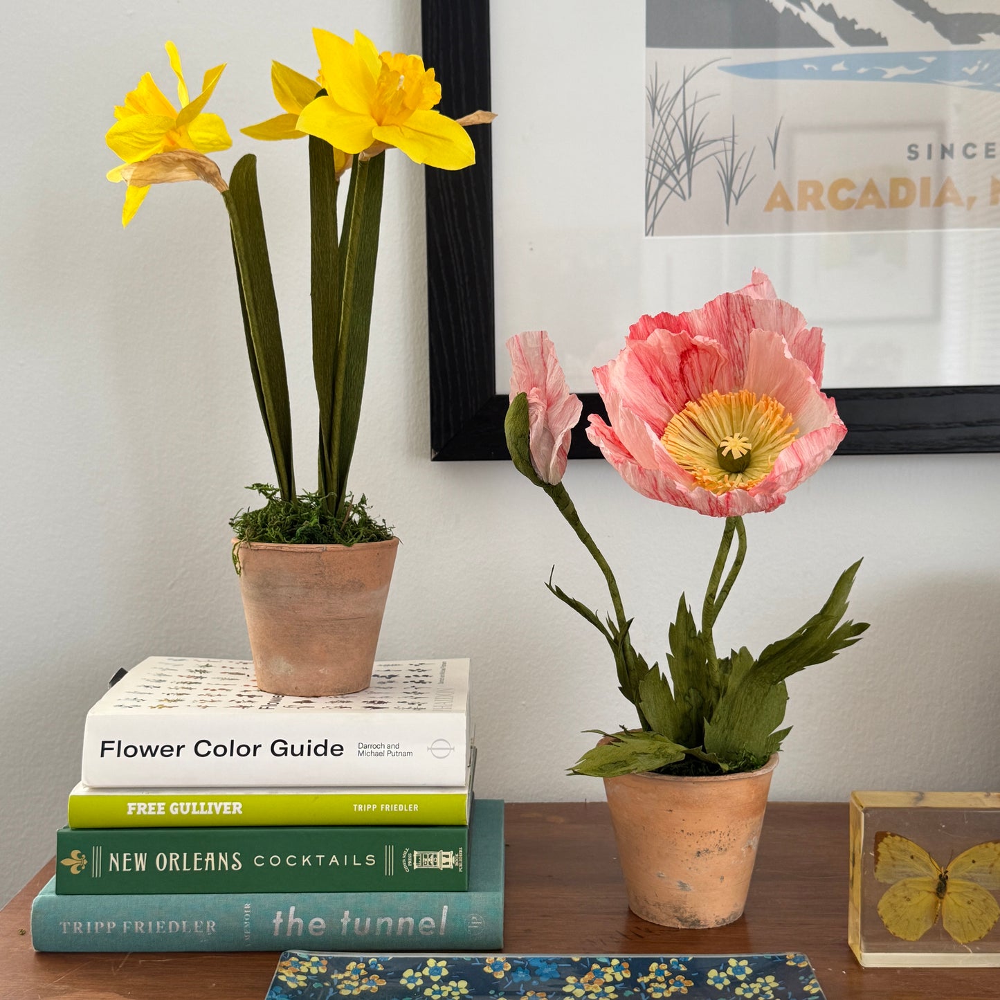 Potted Poppies - Peachy Pink