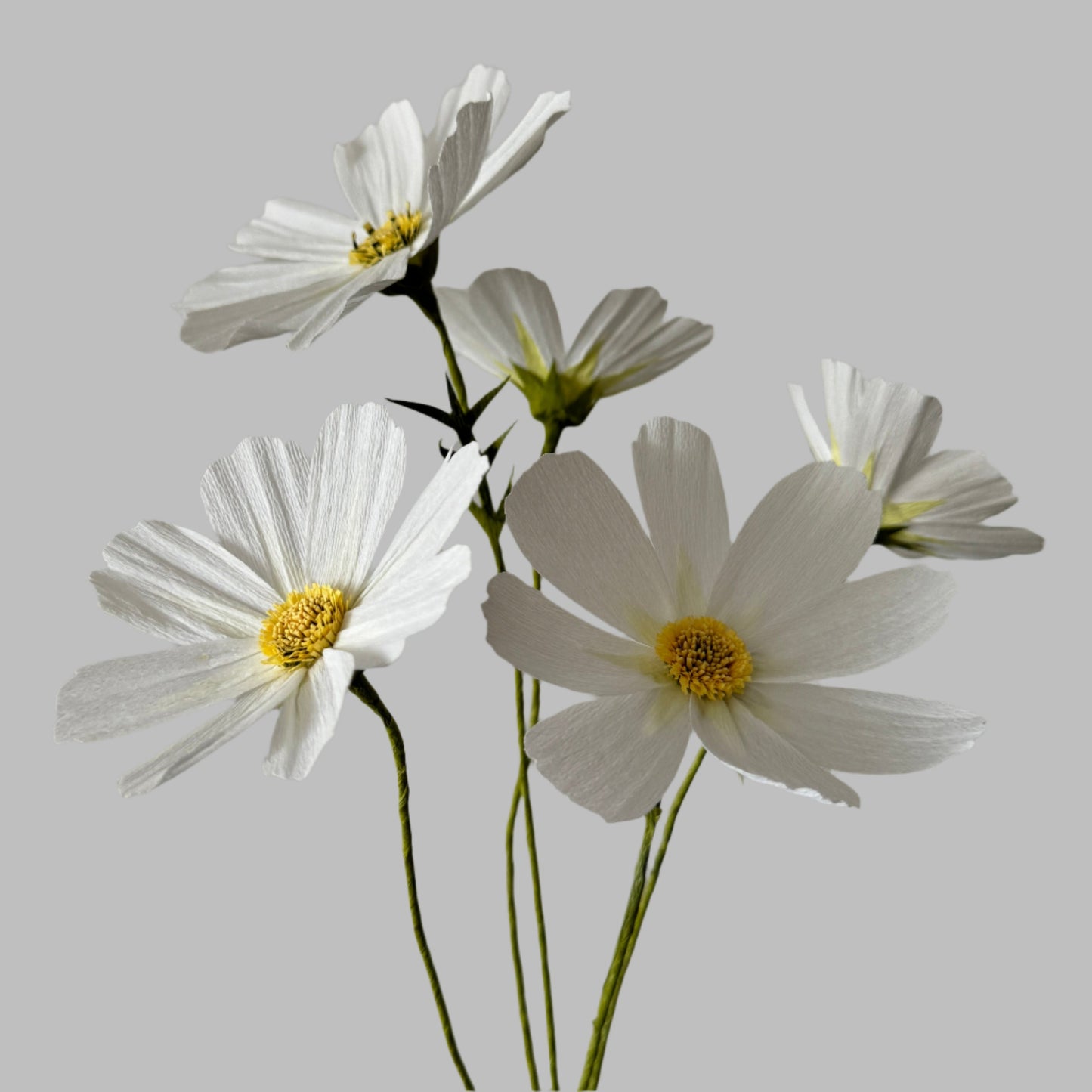 Paper Cosmo Online Course