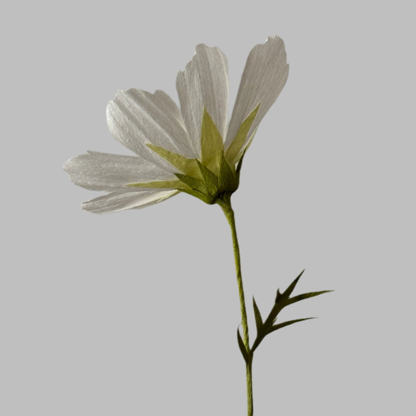 Paper Cosmo Online Course