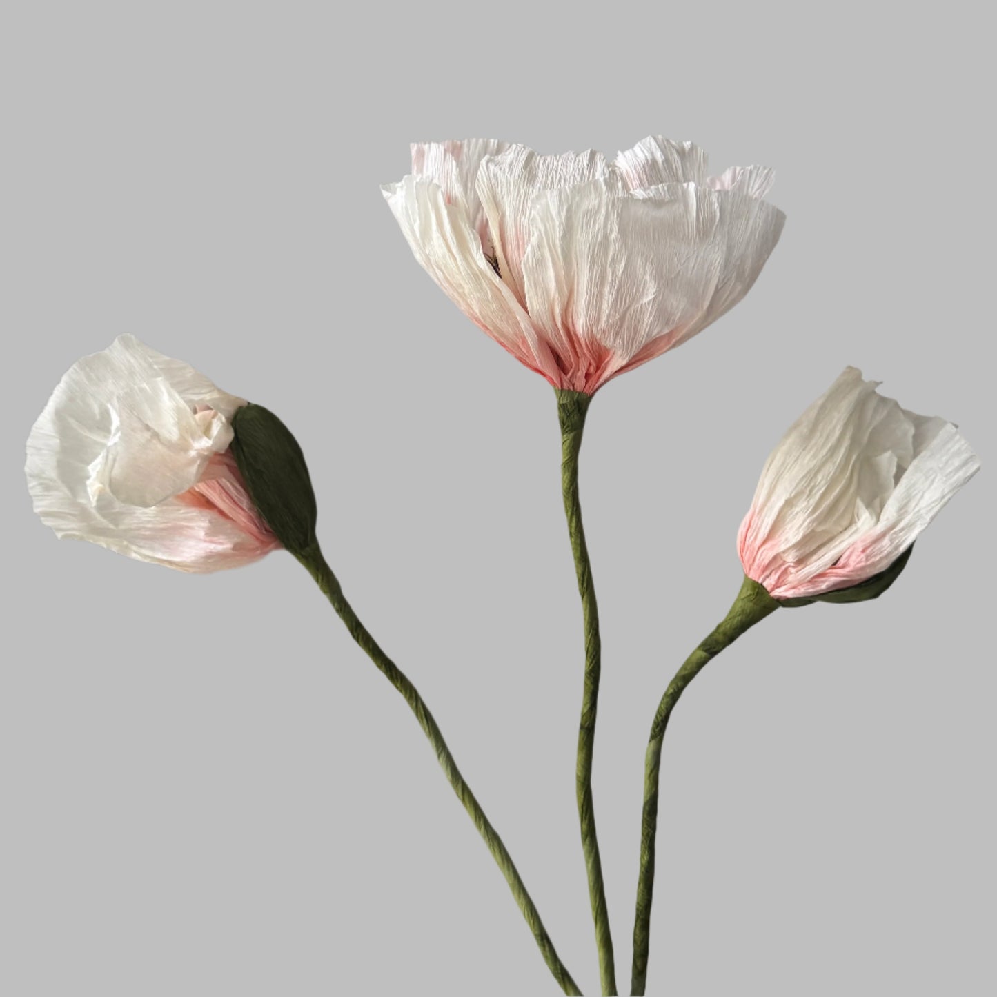 1 Poppy + 2 Buds - Candy