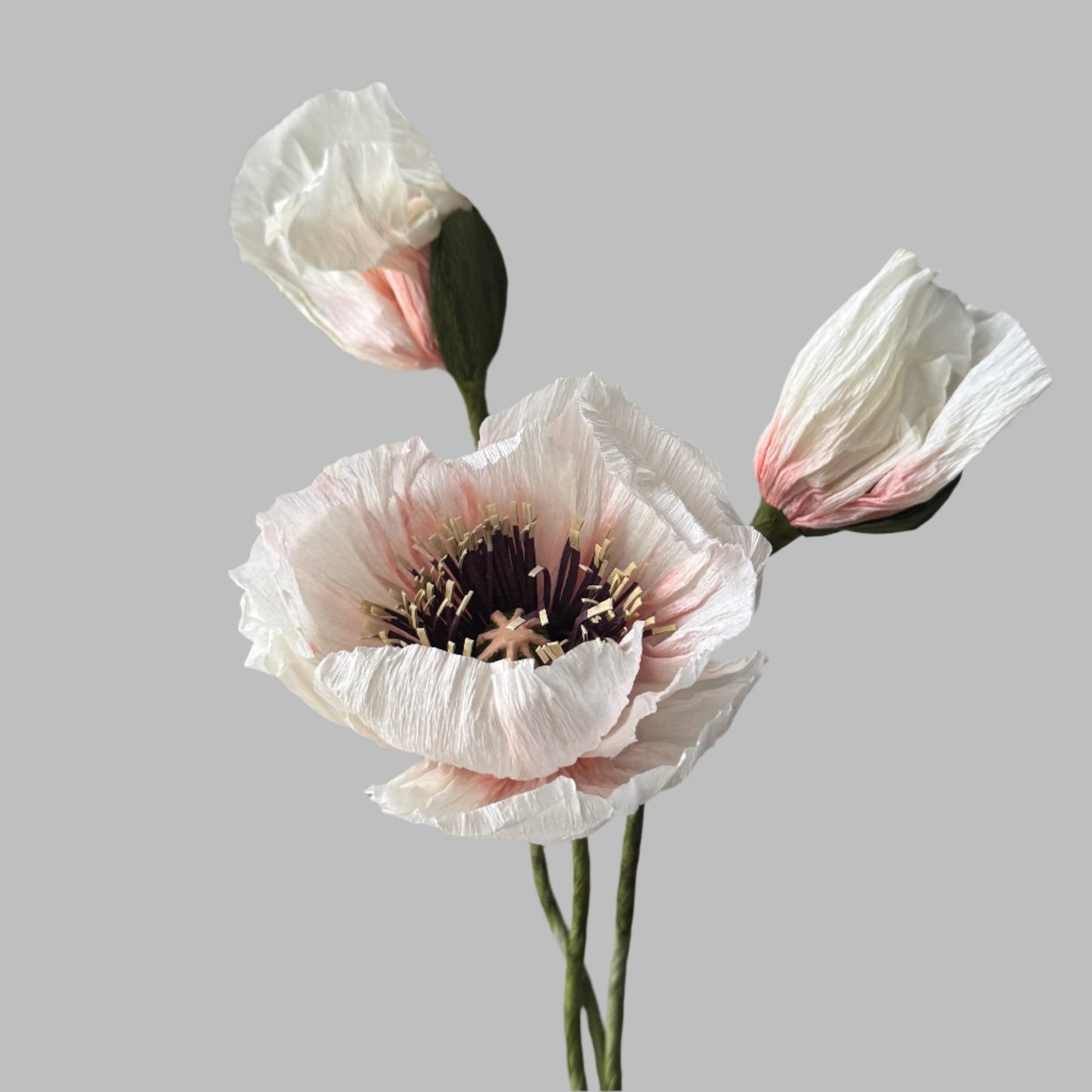 1 Poppy + 2 Buds - Candy