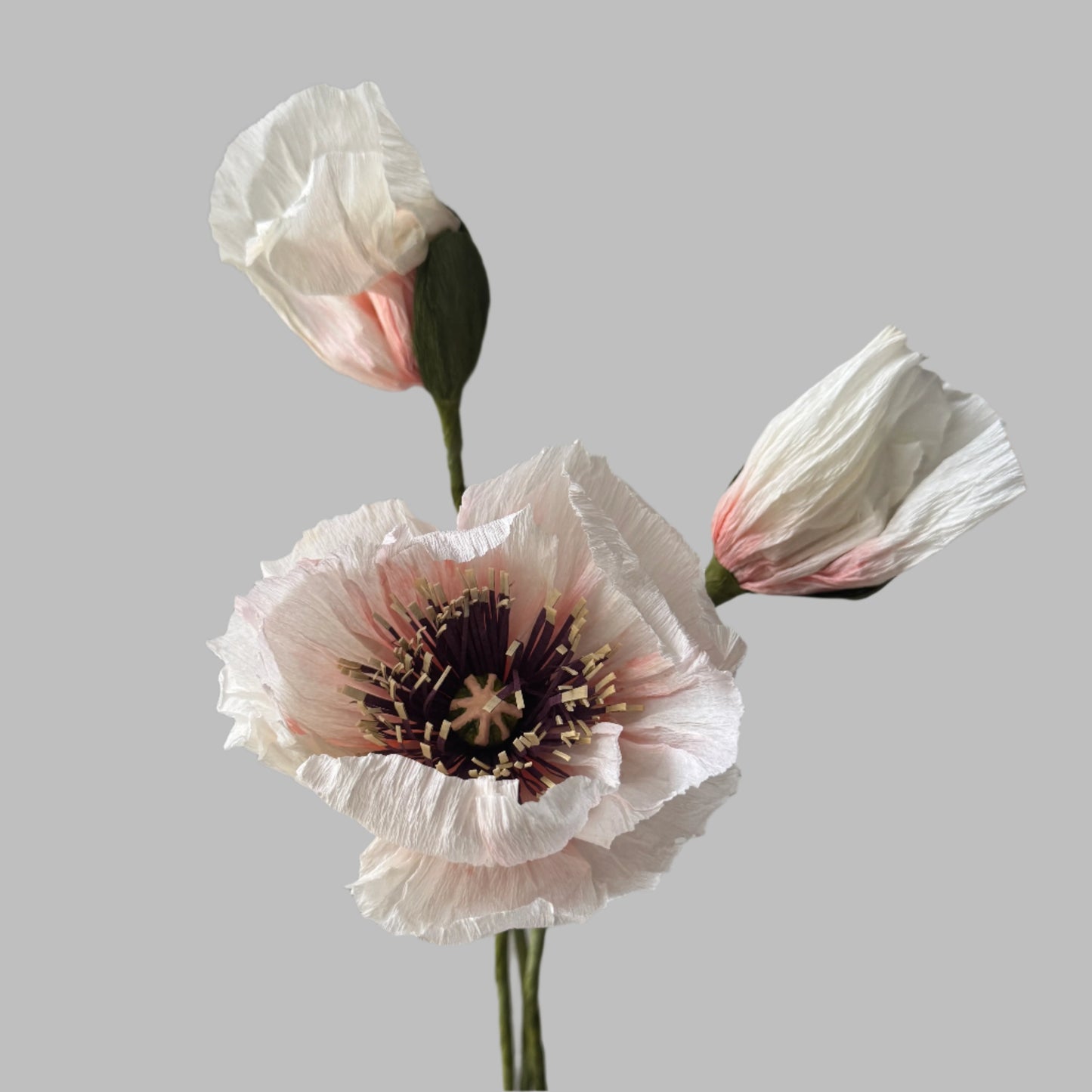 1 Poppy + 2 Buds - Candy