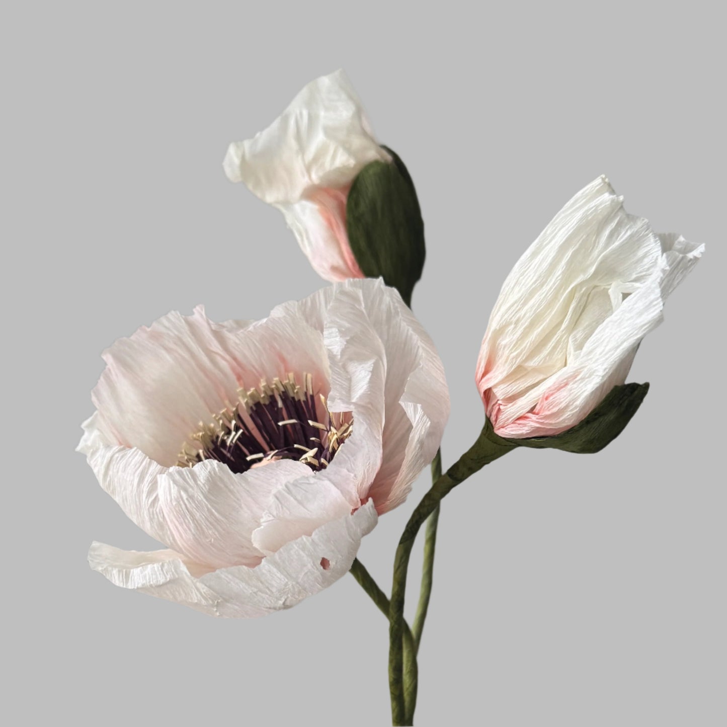 1 Poppy + 2 Buds - Candy