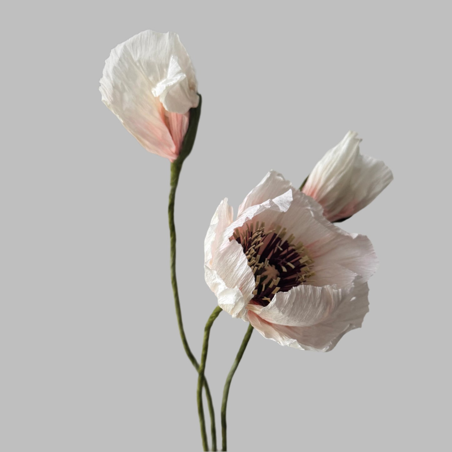 1 Poppy + 2 Buds - Candy