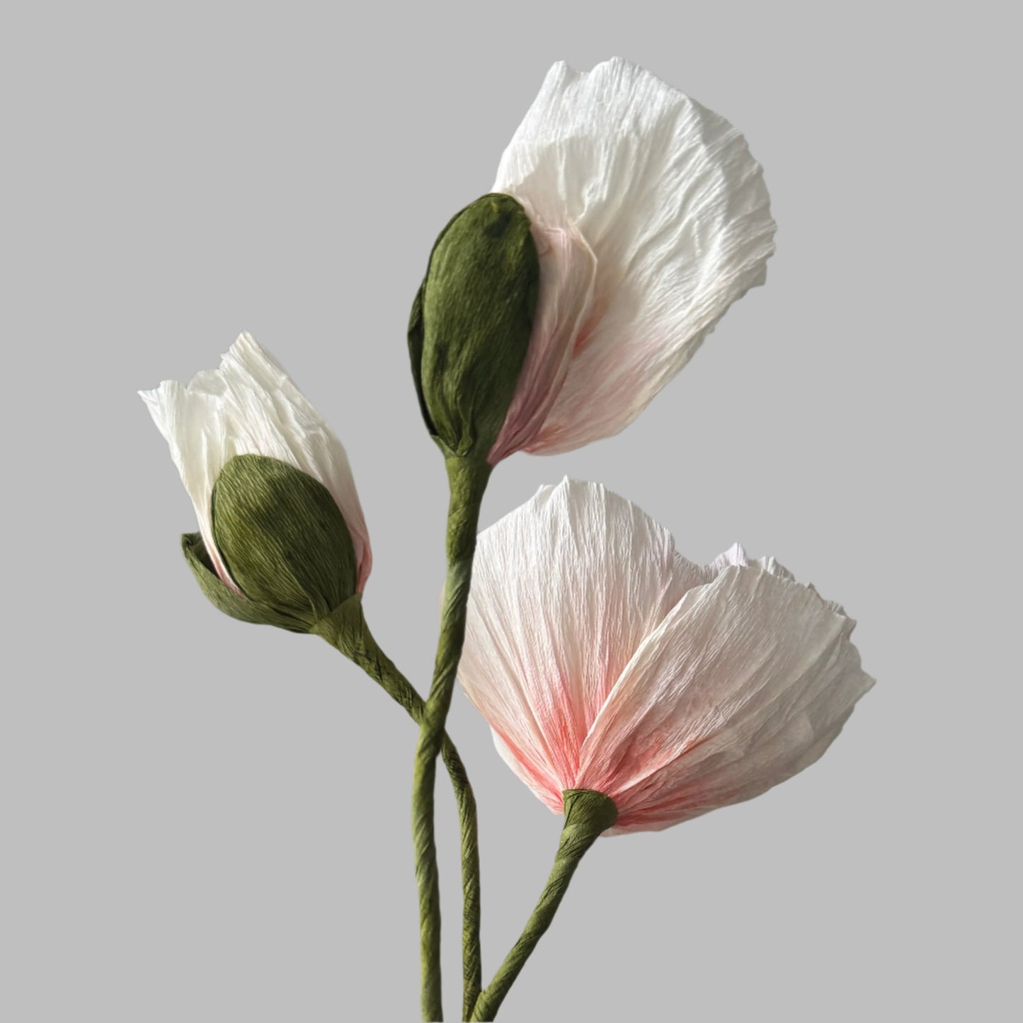 1 Poppy + 2 Buds - Candy