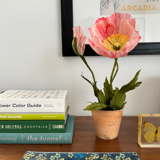 Potted Poppies - Peachy Pink