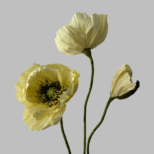 2 Poppies + 1 Bud - Butter Yellow