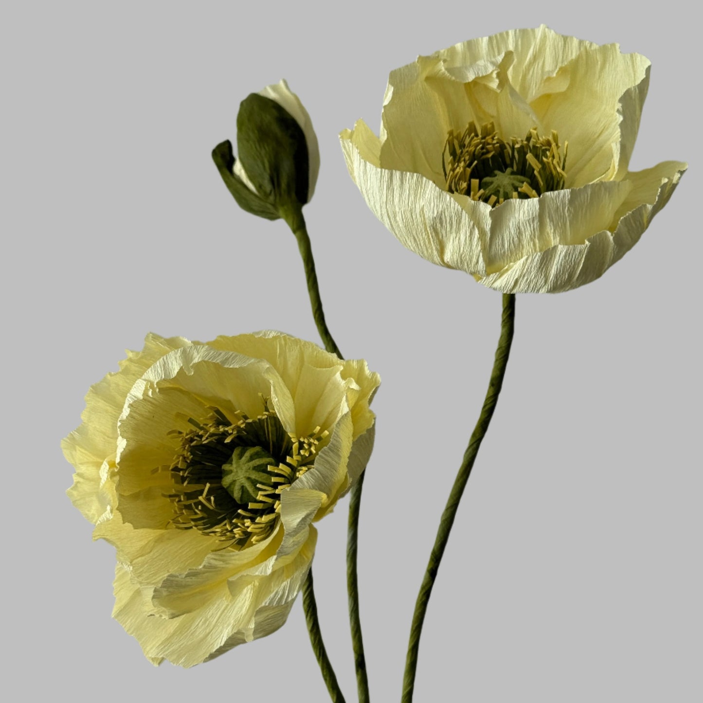 2 Poppies + 1 Bud - Butter Yellow