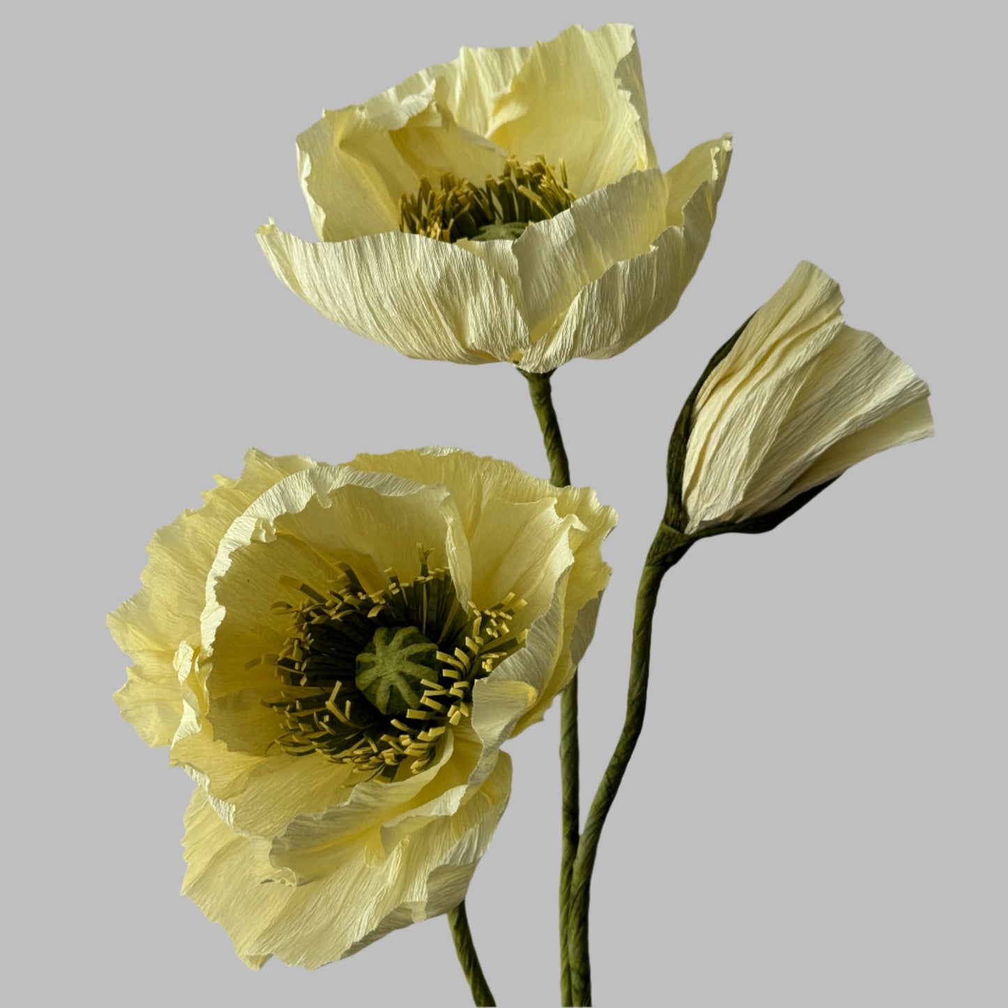 2 Poppies + 1 Bud - Butter Yellow