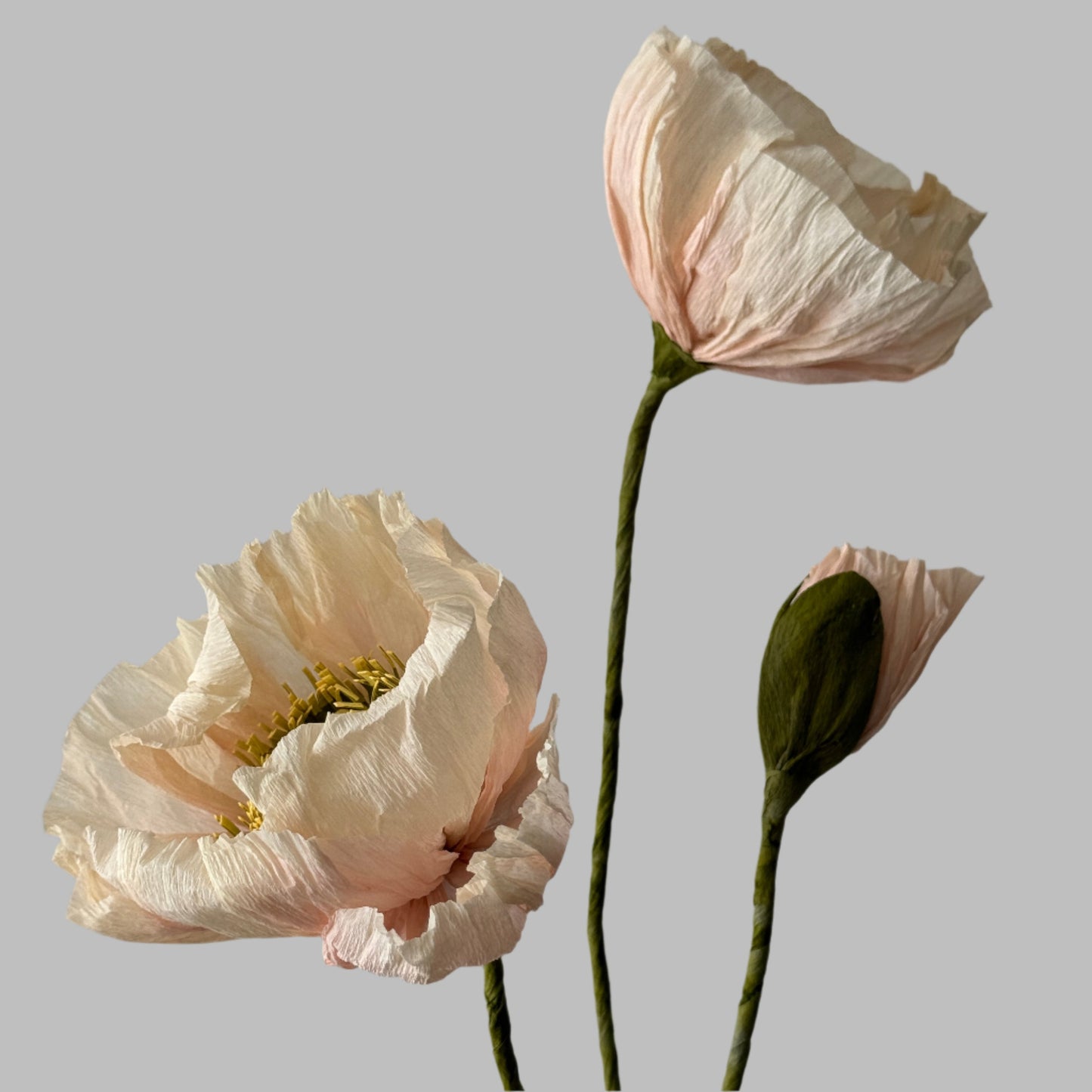 2 Poppies + 1 Bud - Dusty Pink