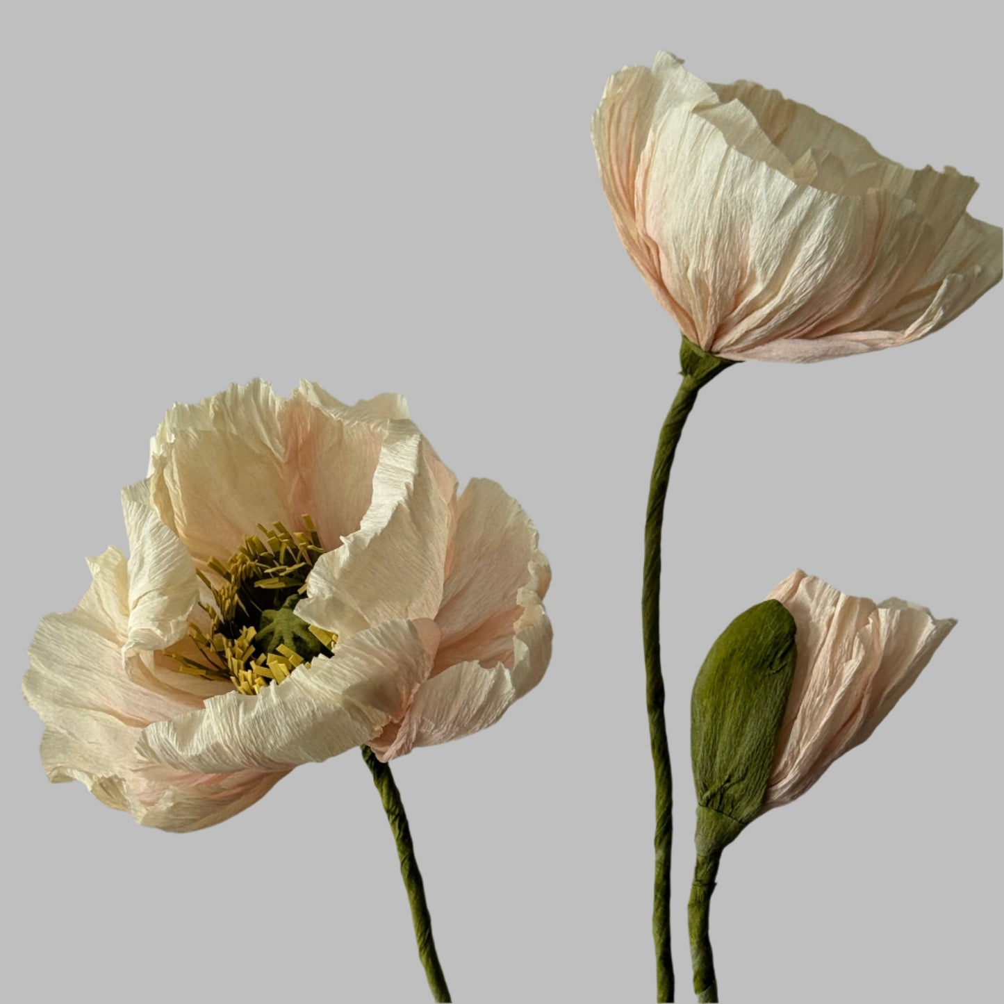 2 Poppies + 1 Bud - Dusty Pink