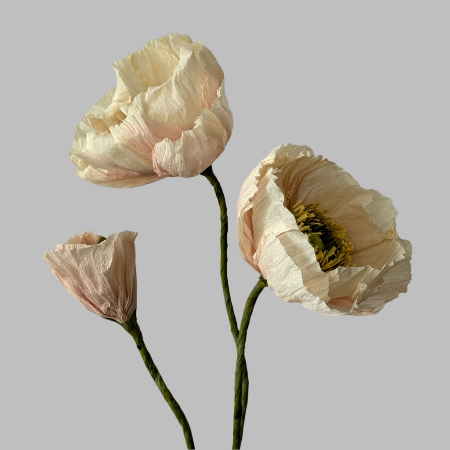 2 Poppies + 1 Bud - Dusty Pink