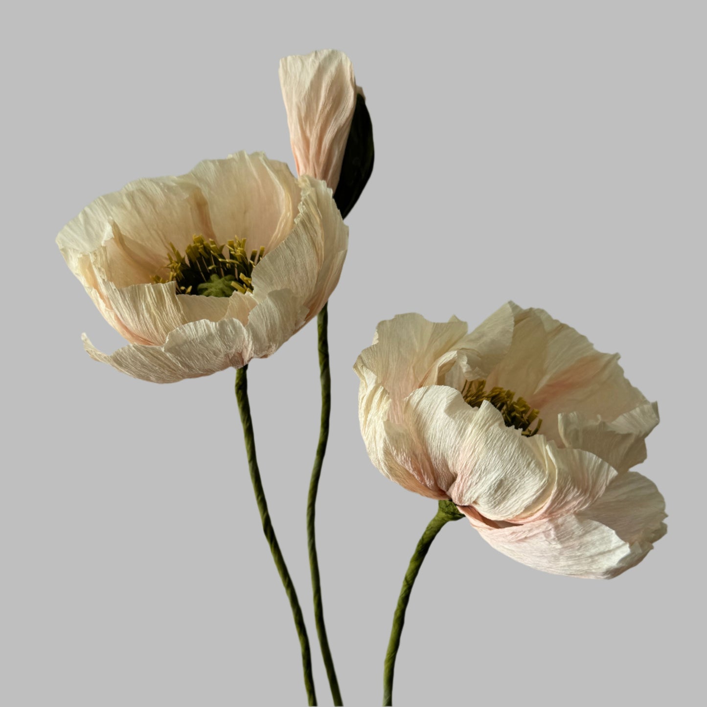 2 Poppies + 1 Bud - Dusty Pink