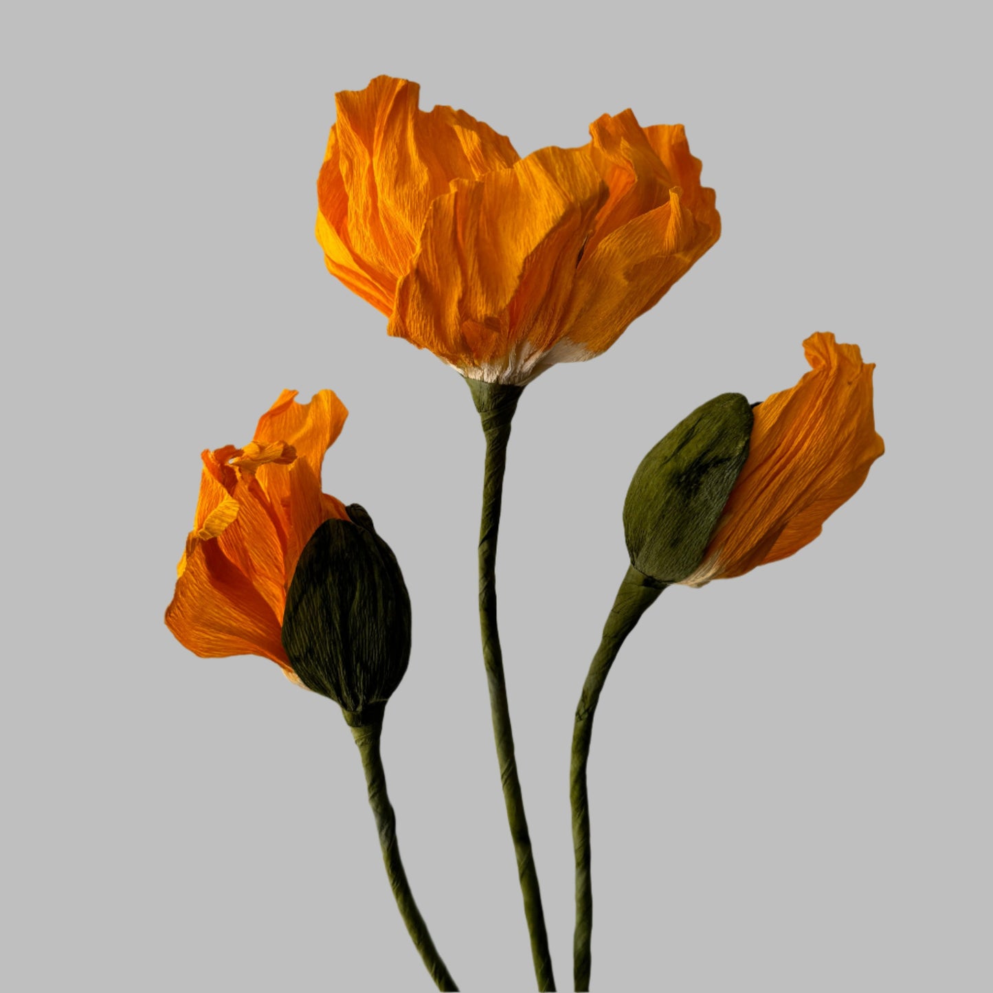 1 Poppy + 2 Buds - Orange