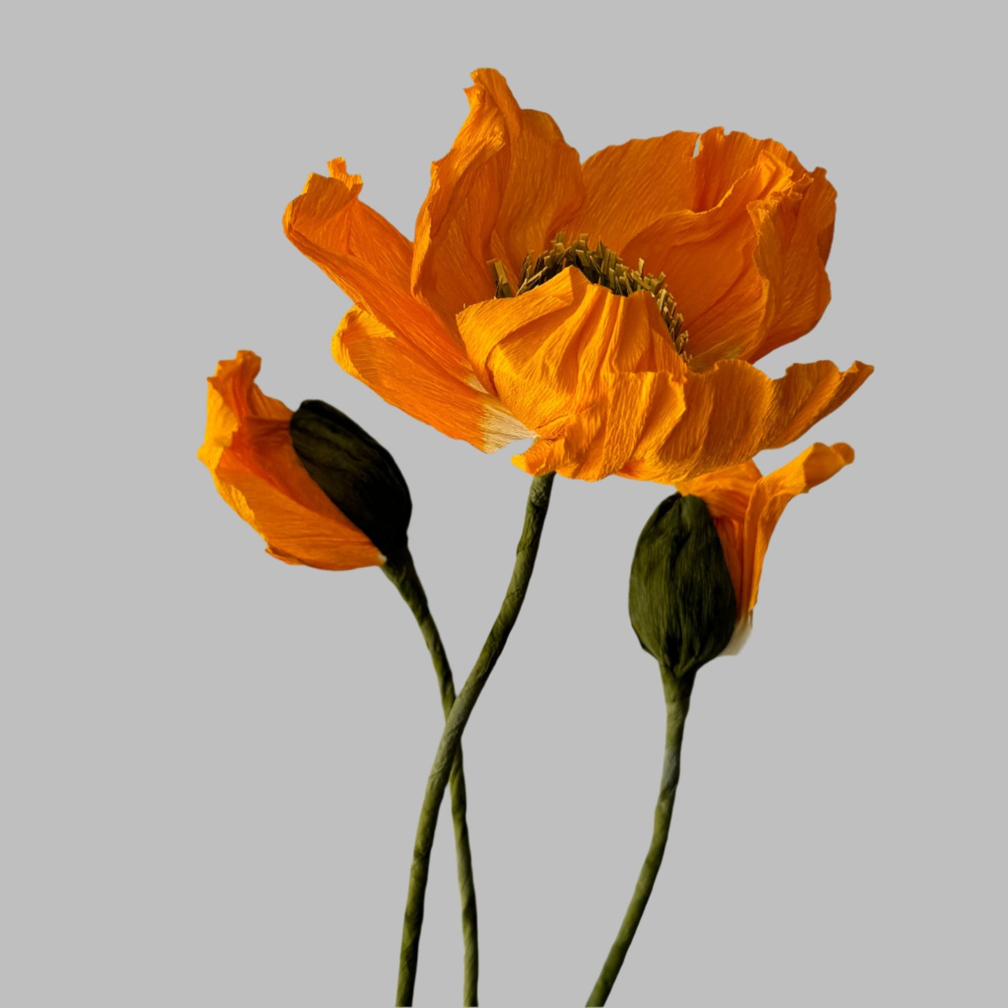 1 Poppy + 2 Buds - Orange