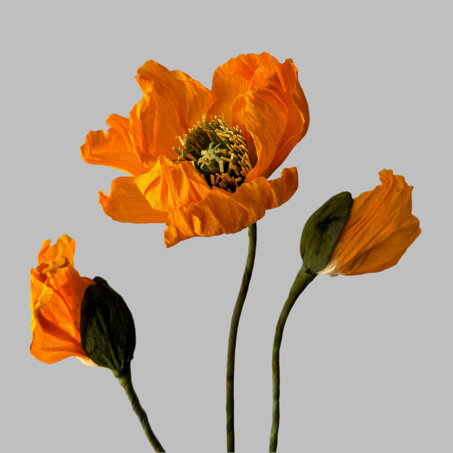 1 Poppy + 2 Buds - Orange