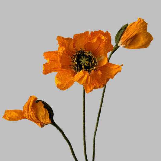 1 Poppy + 2 Buds - Orange