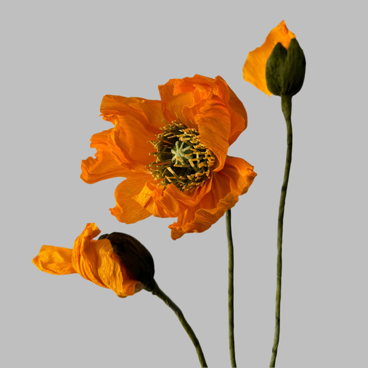 1 Poppy + 2 Buds - Orange