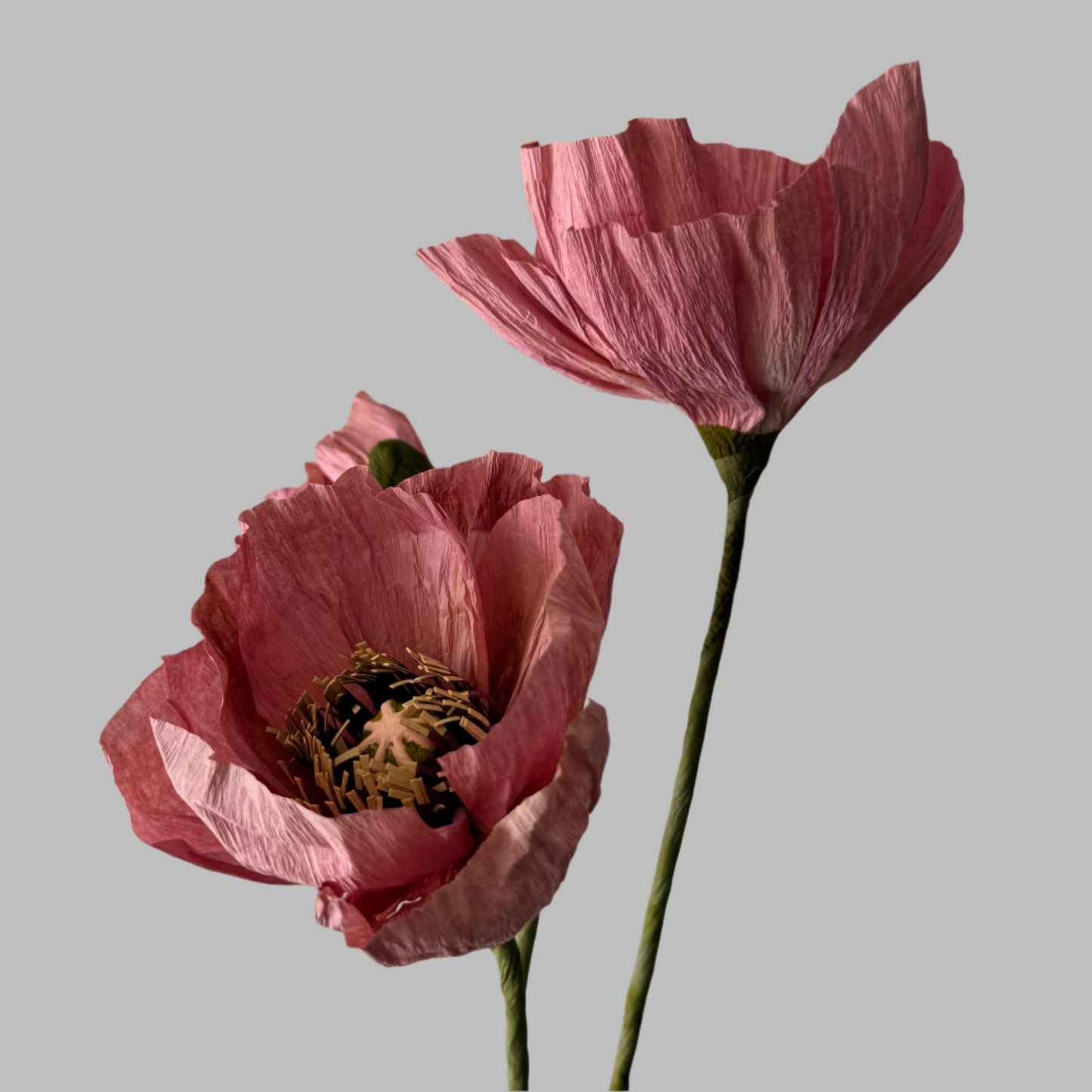 2 Poppies + 1 Bud - Dark Pink