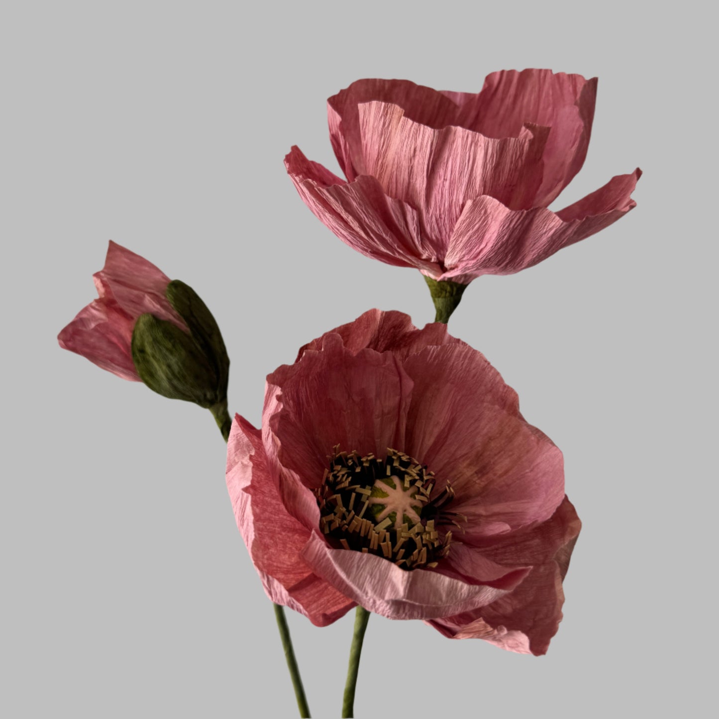 2 Poppies + 1 Bud - Dark Pink