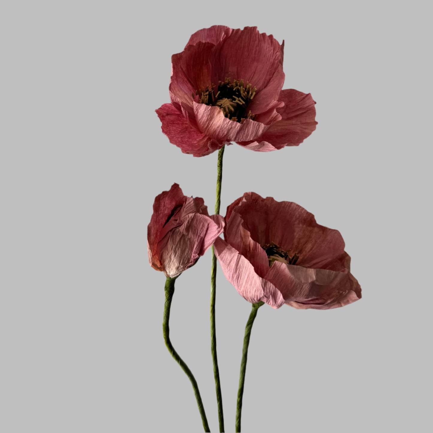 2 Poppies + 1 Bud - Dark Pink