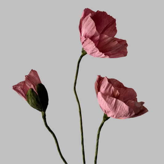 2 Poppies + 1 Bud - Dark Pink