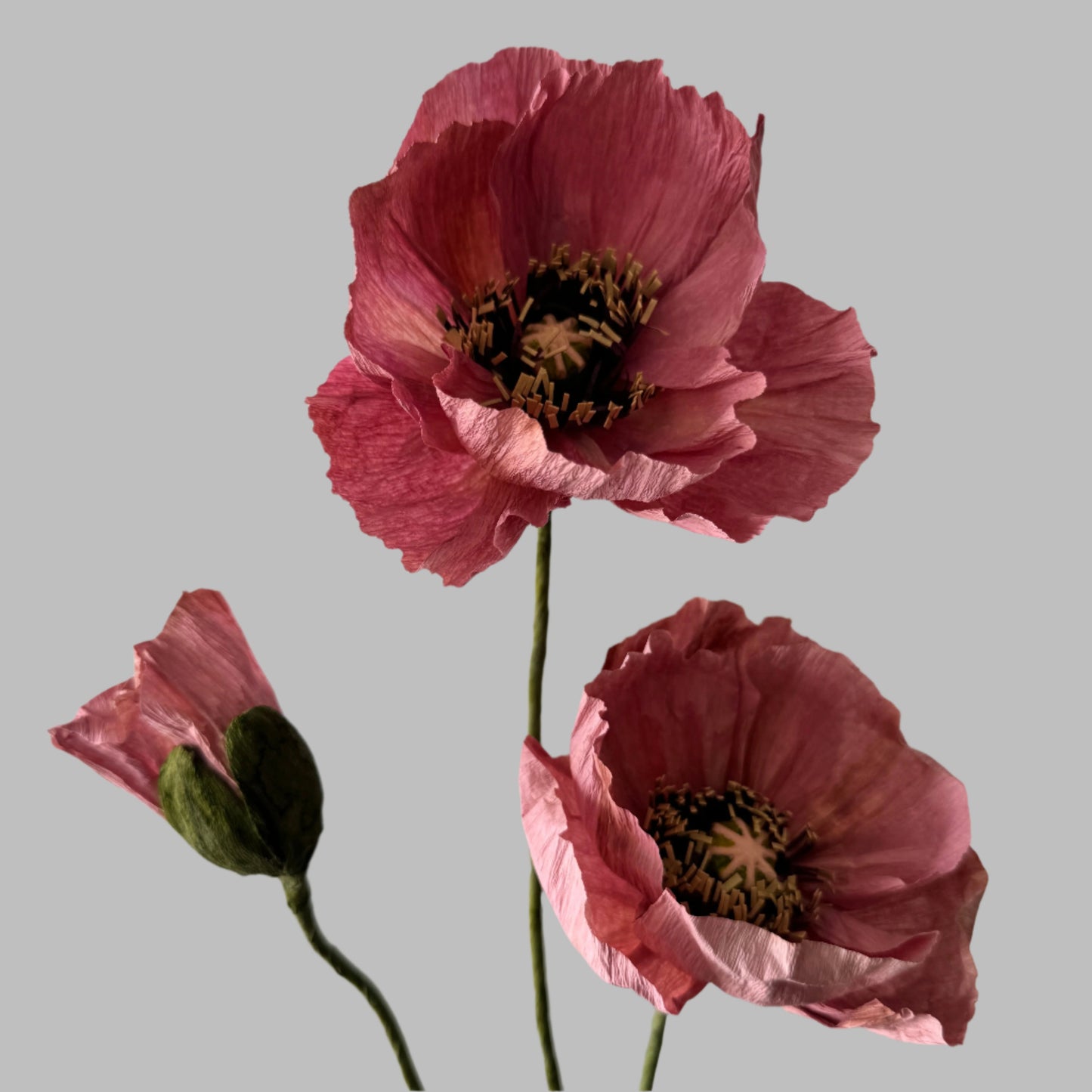 2 Poppies + 1 Bud - Dark Pink