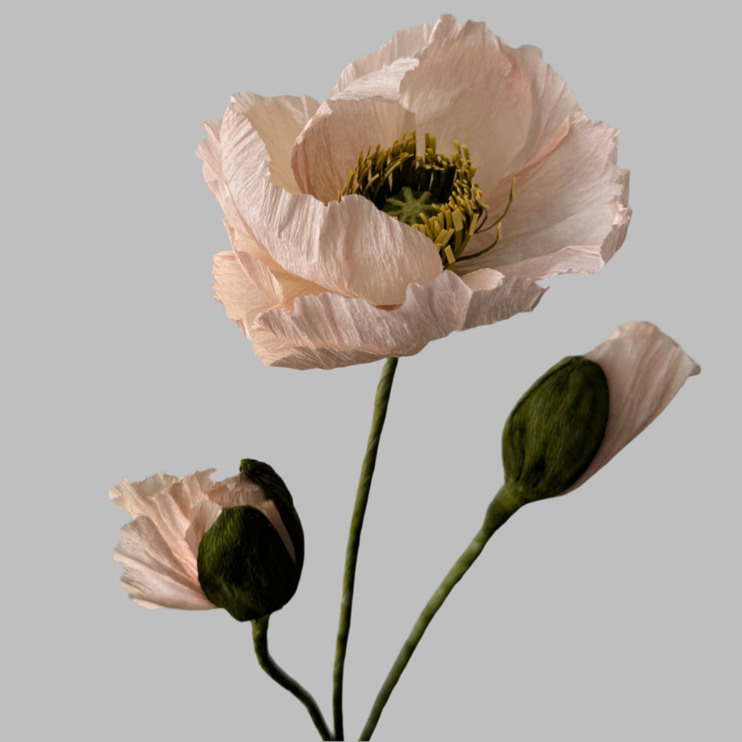 1 Poppy + 2 Buds - Light Pink