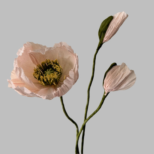 1 Poppy + 2 Buds - Light Pink