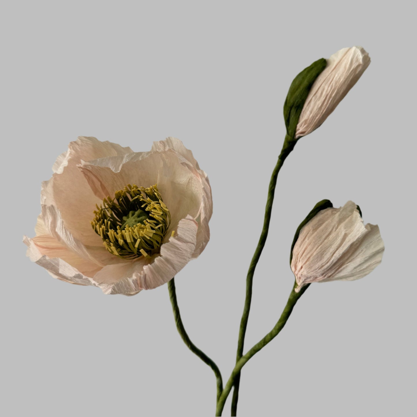 1 Poppy + 2 Buds - Light Pink