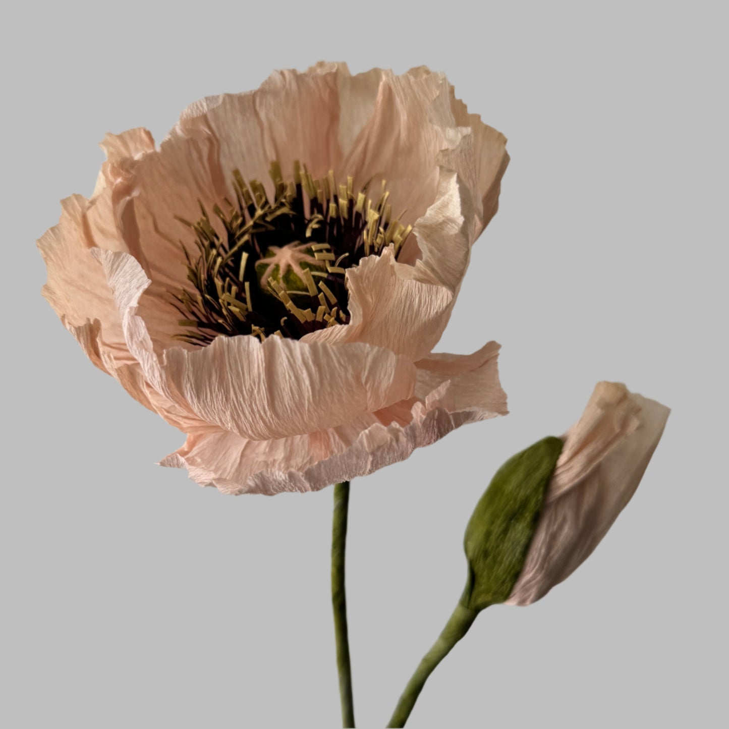 1 Poppy + 1 Buds - Light Pink