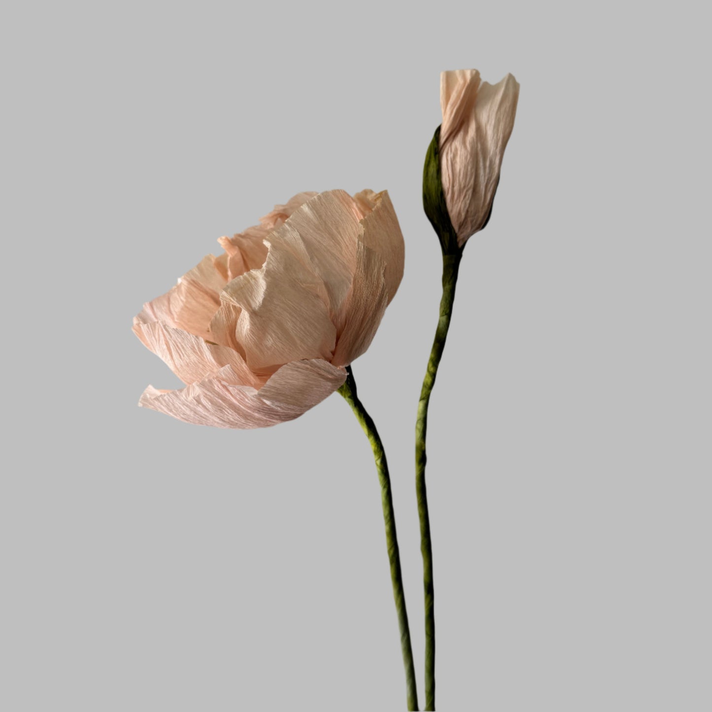 1 Poppy + 1 Buds - Light Pink