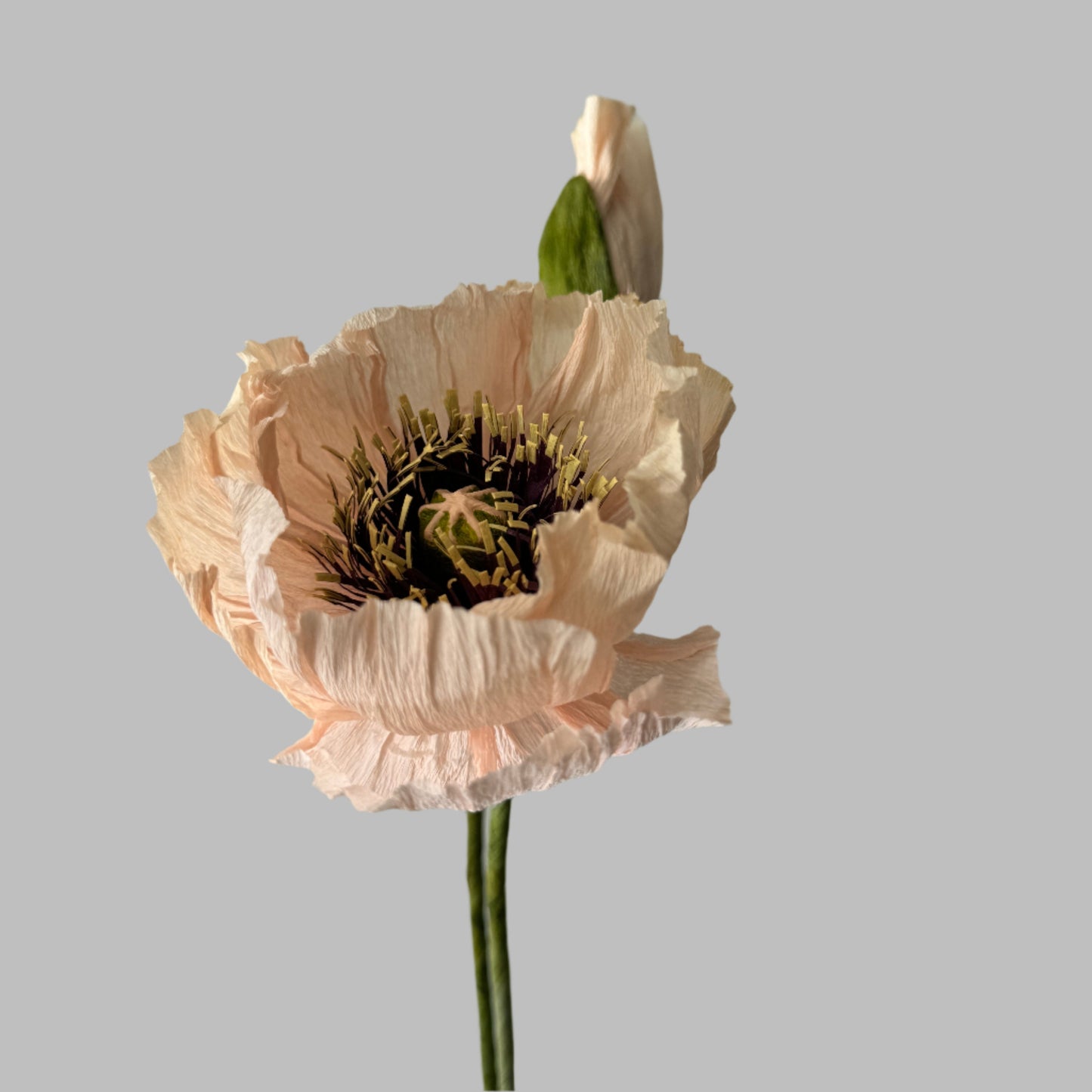 1 Poppy + 1 Buds - Light Pink