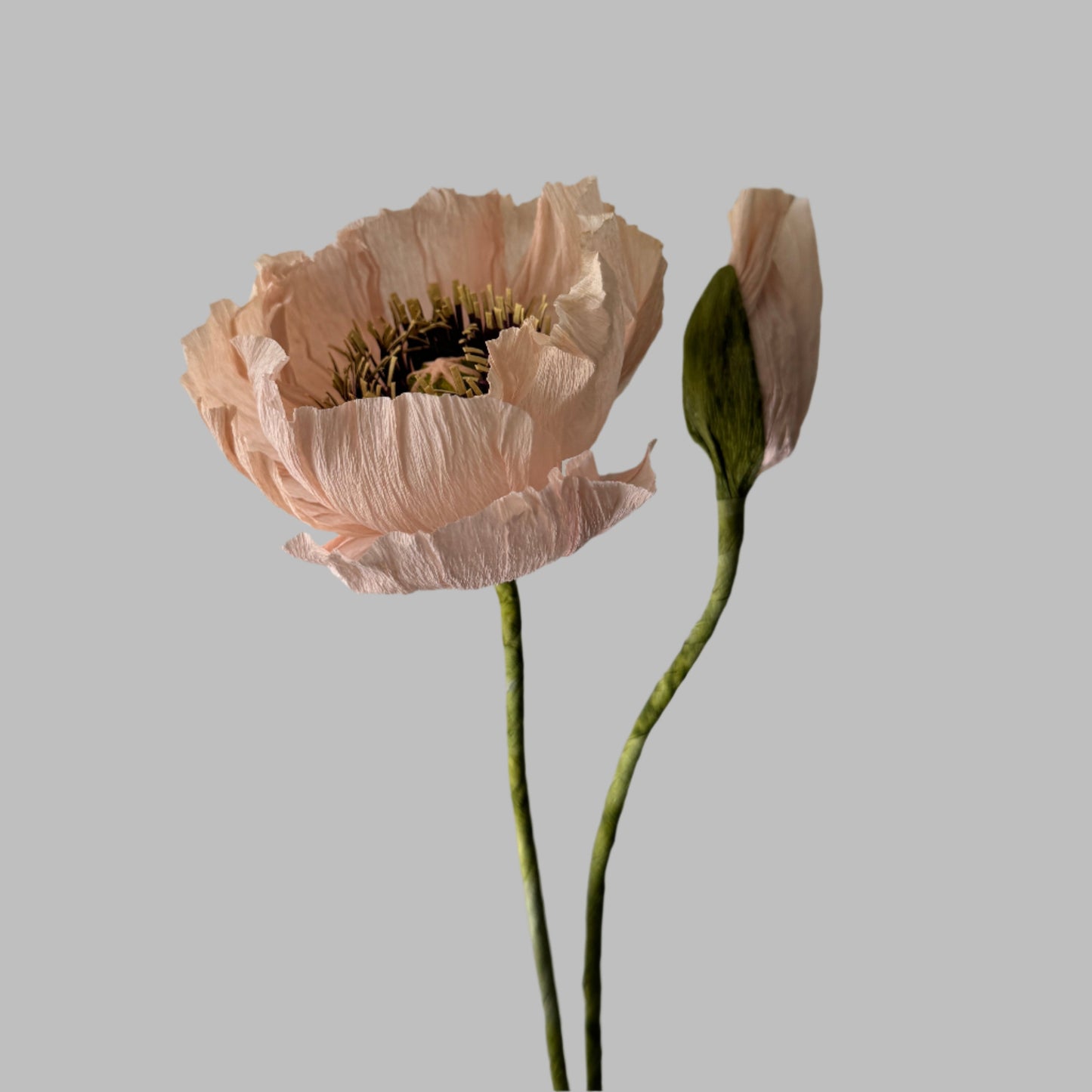 1 Poppy + 1 Buds - Light Pink