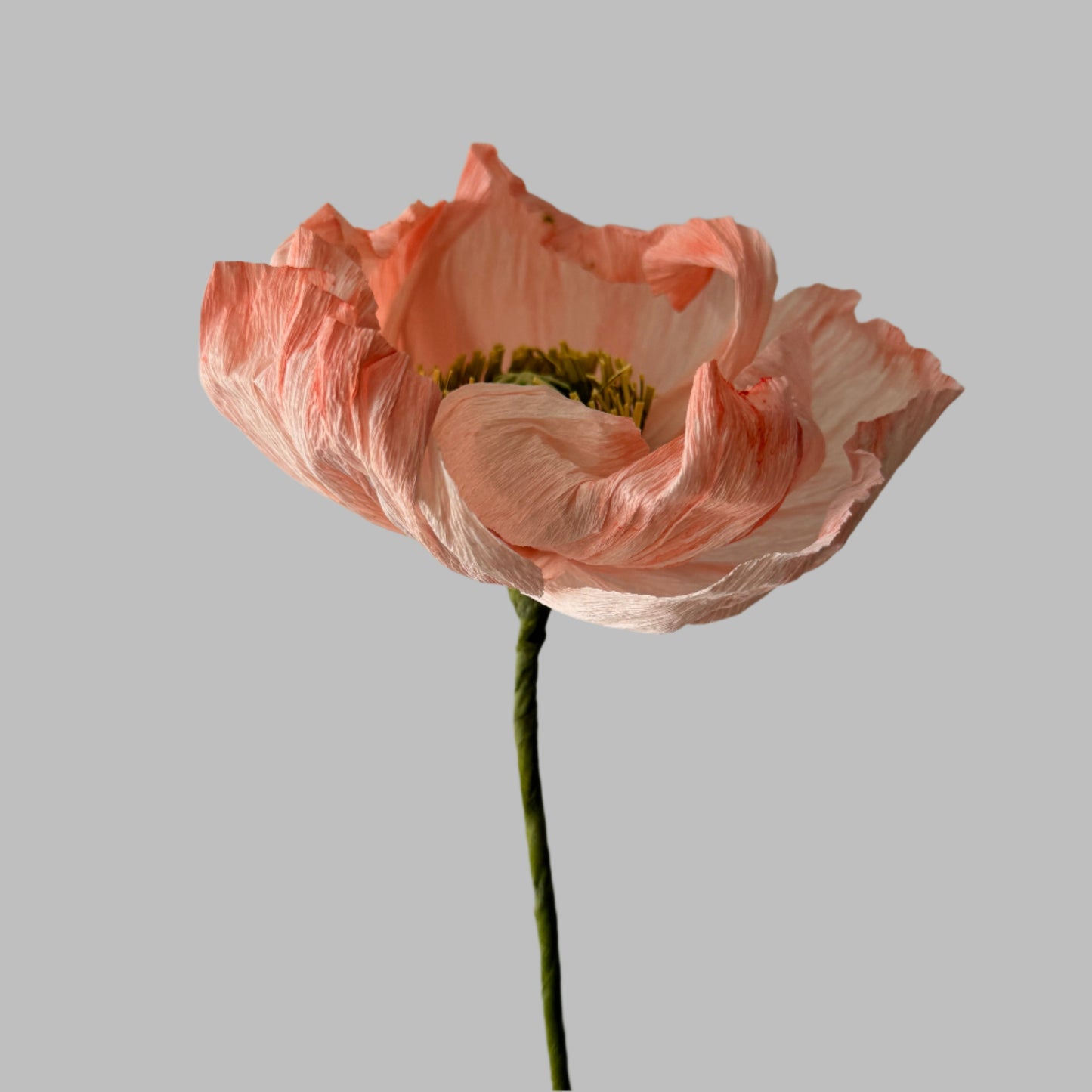 Poppy - Peachy Pink