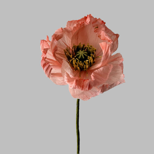 Poppy - Peachy Pink