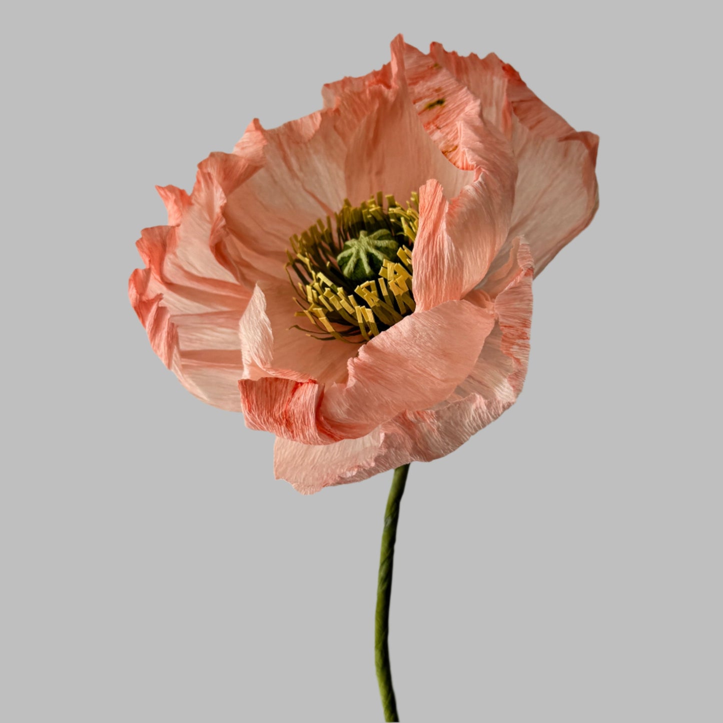 Poppy - Peachy Pink