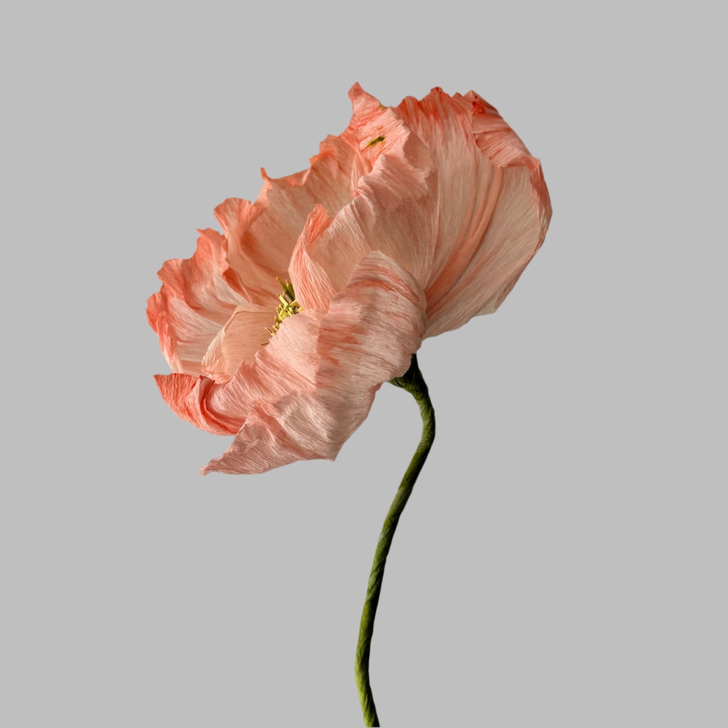 Poppy - Peachy Pink