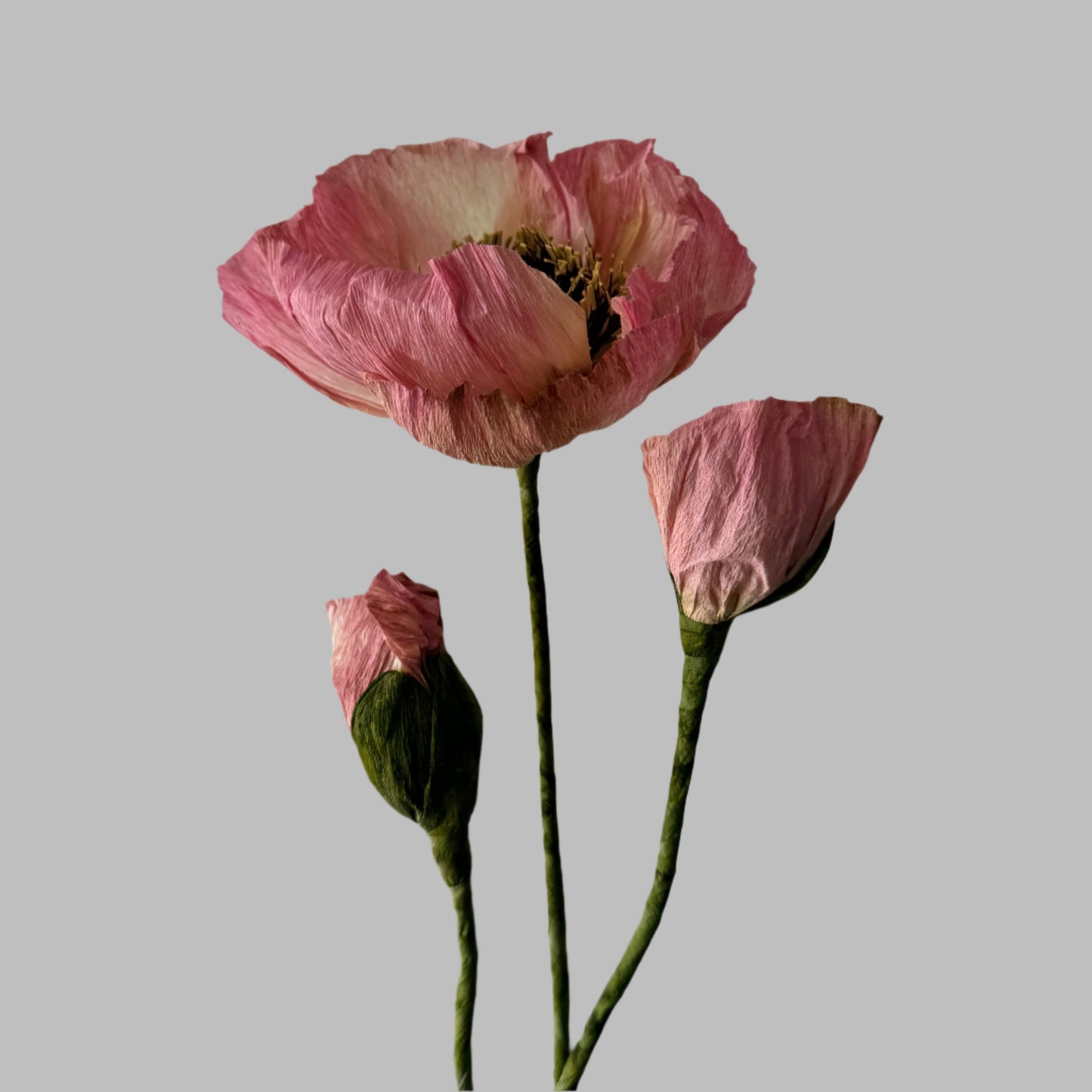 1 Poppy + 2 Buds - Pink