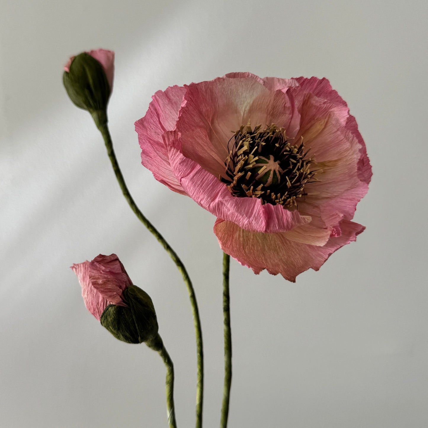 1 Poppy + 2 Buds - Pink