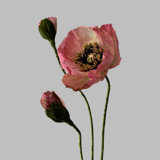 1 Poppy + 2 Buds - Pink